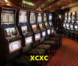 Descubra a Essência do xcxc: Nossa História e Compromissos
