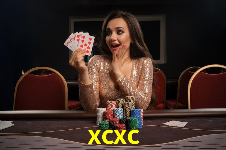 Interface Premium xcxc